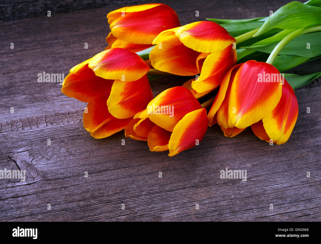 Schöne Tulpen auf hölzernen Hintergrund Stockfoto