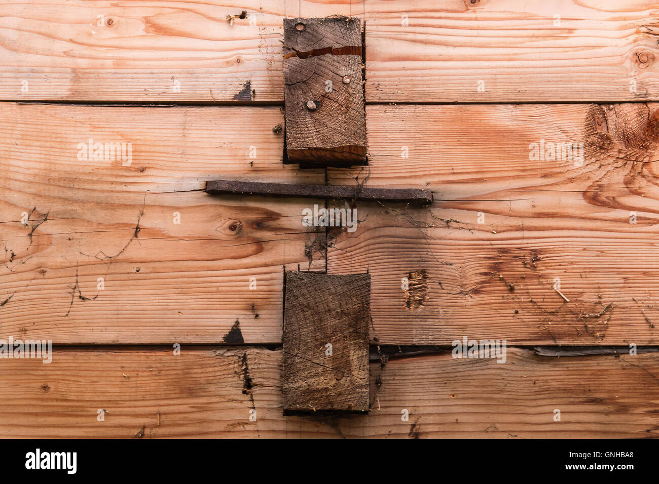 Krampf verwendet zum Verbinden von verzahnten bearbeiteten Holz in einem 1927 Bauernhaus in Ørsta, Norwegen Stockfoto