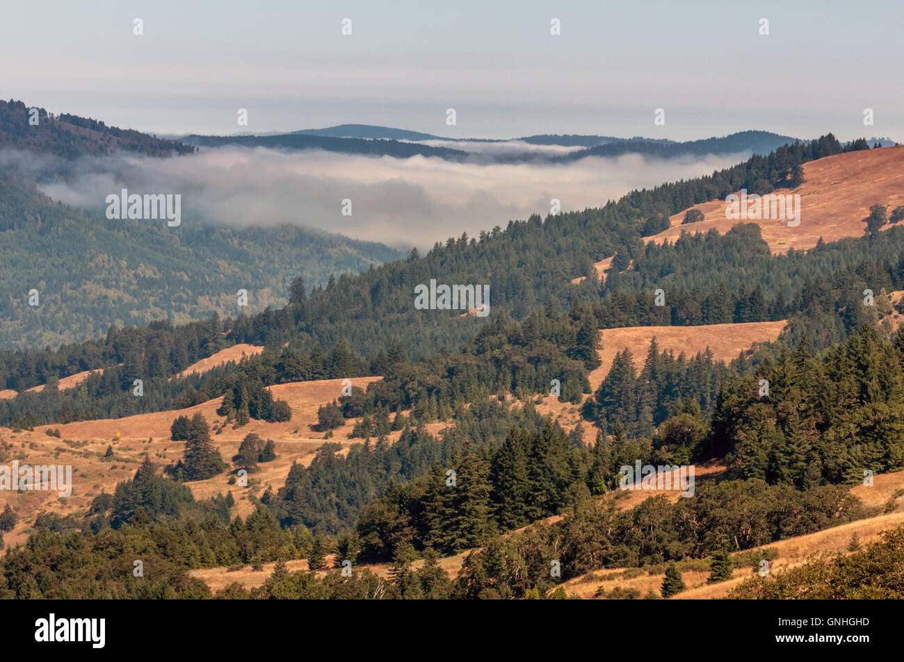 Nebel über ein Tal in Nord-Kalifornien Stockfoto