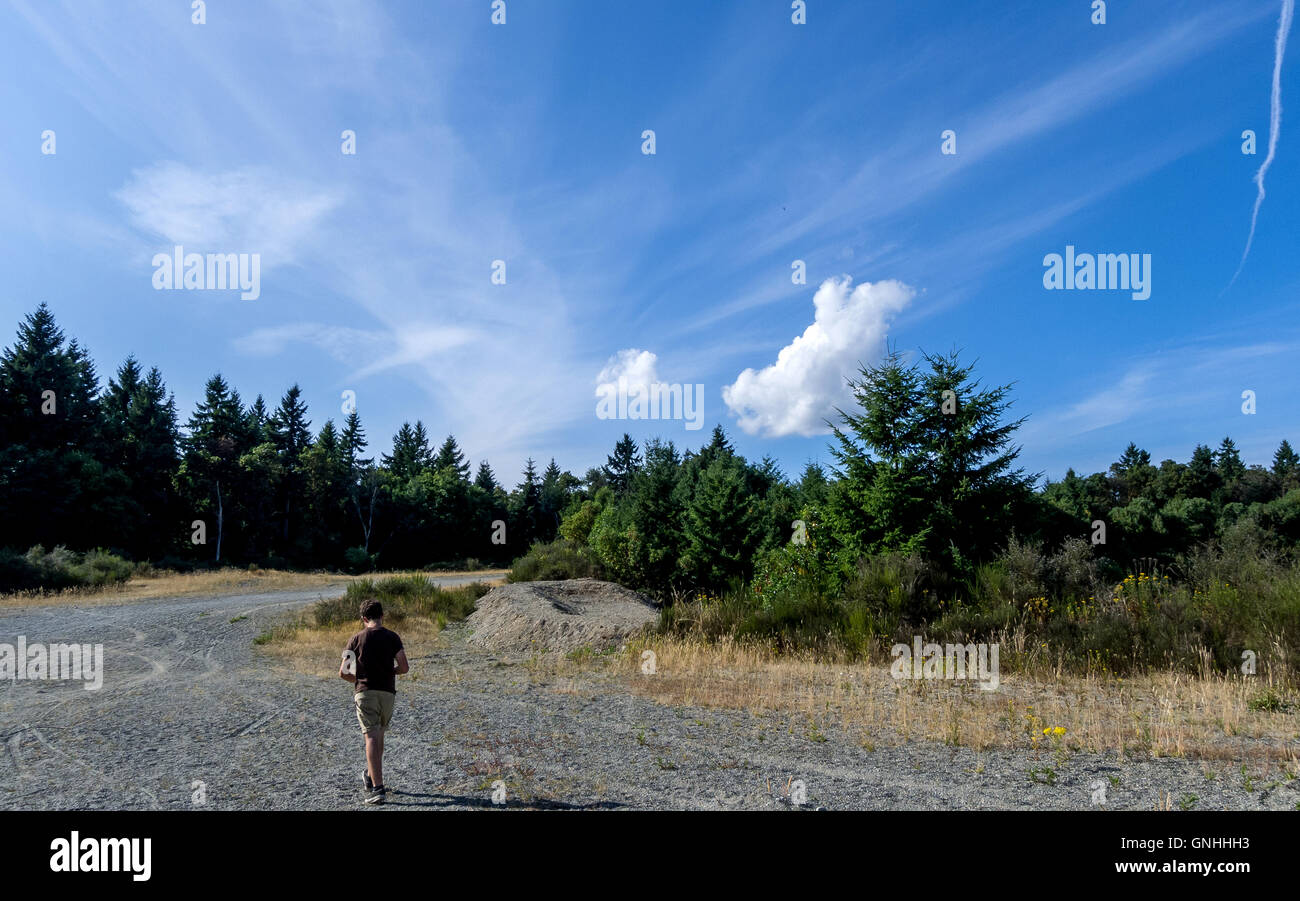 Vashon Island in den Puget Sound nahe Seattle Washington Stockfoto