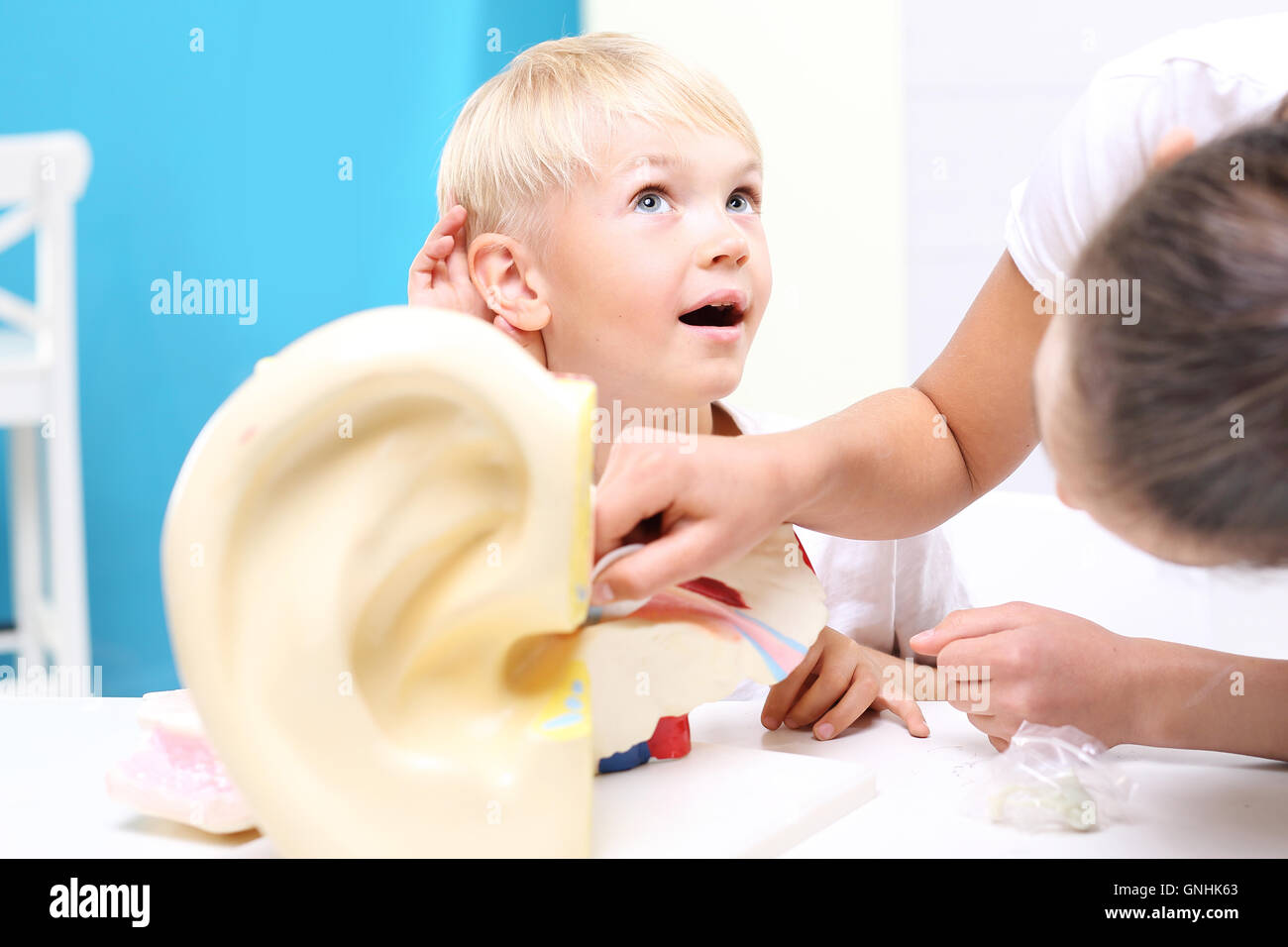 Hilfe wissenschaftliches Modell des menschlichen Ohres. Anatomie eines Kindes auf Biologie-Unterricht. Stockfoto