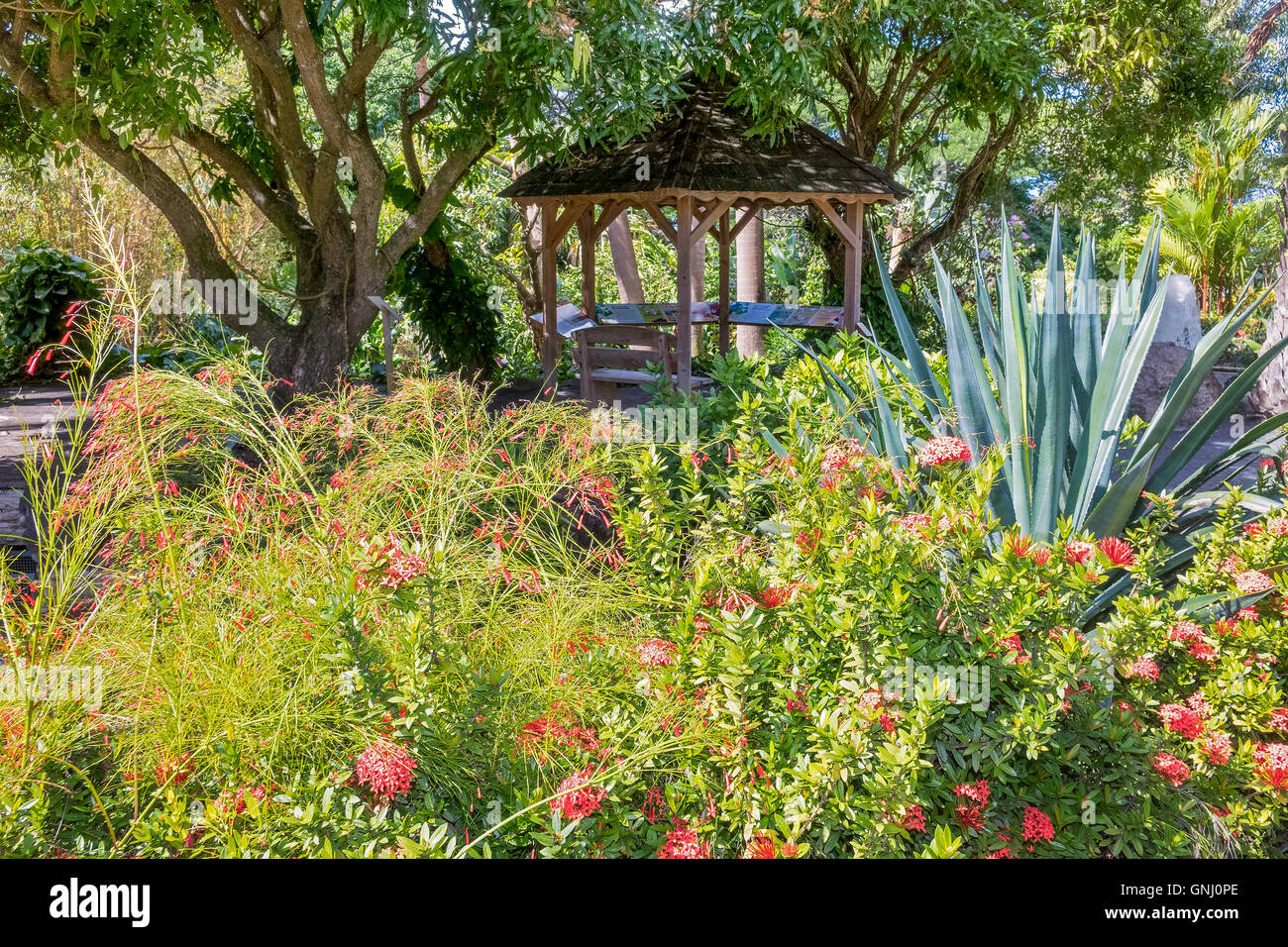 Gartenhaus In den Garten Balata botanische Gärten Guadeloupe West Indies Stockfoto