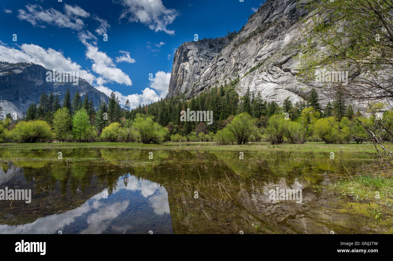 Bergreflexionen in Mirror Lake, Yosemite National Park, Kalifornien, USA Stockfoto