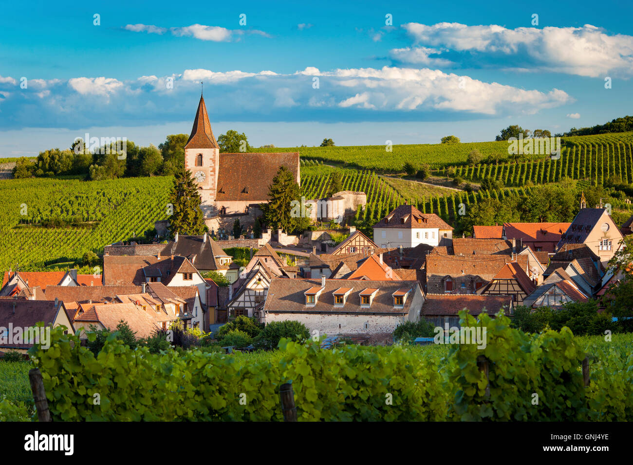Blick über die Stadt Le Puy-en-Velay entlang der Weinstraße, Elsass, Haut-Rhin, Frankreich Stockfoto