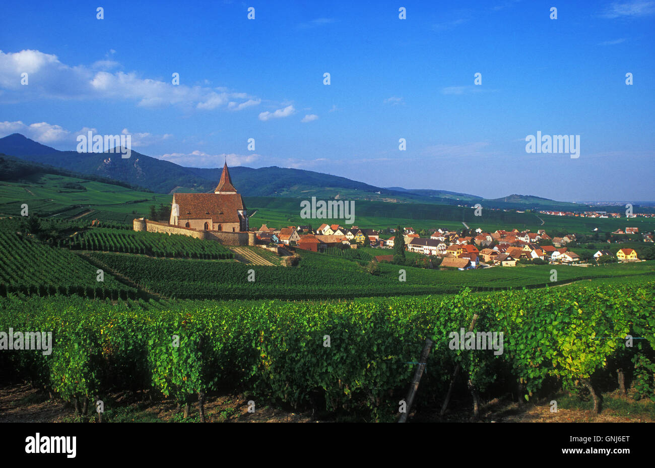 Saint-Jacques-le-Gewalt, Hunawihr, Elsass, Frankreich Stockfoto