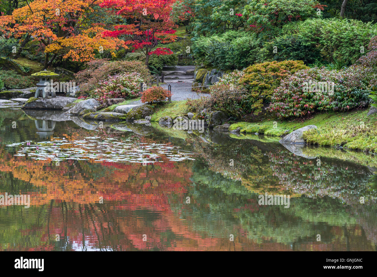 Reflexion der Herbstfarben in einem Teich in einen japanischen Garten Stockfoto