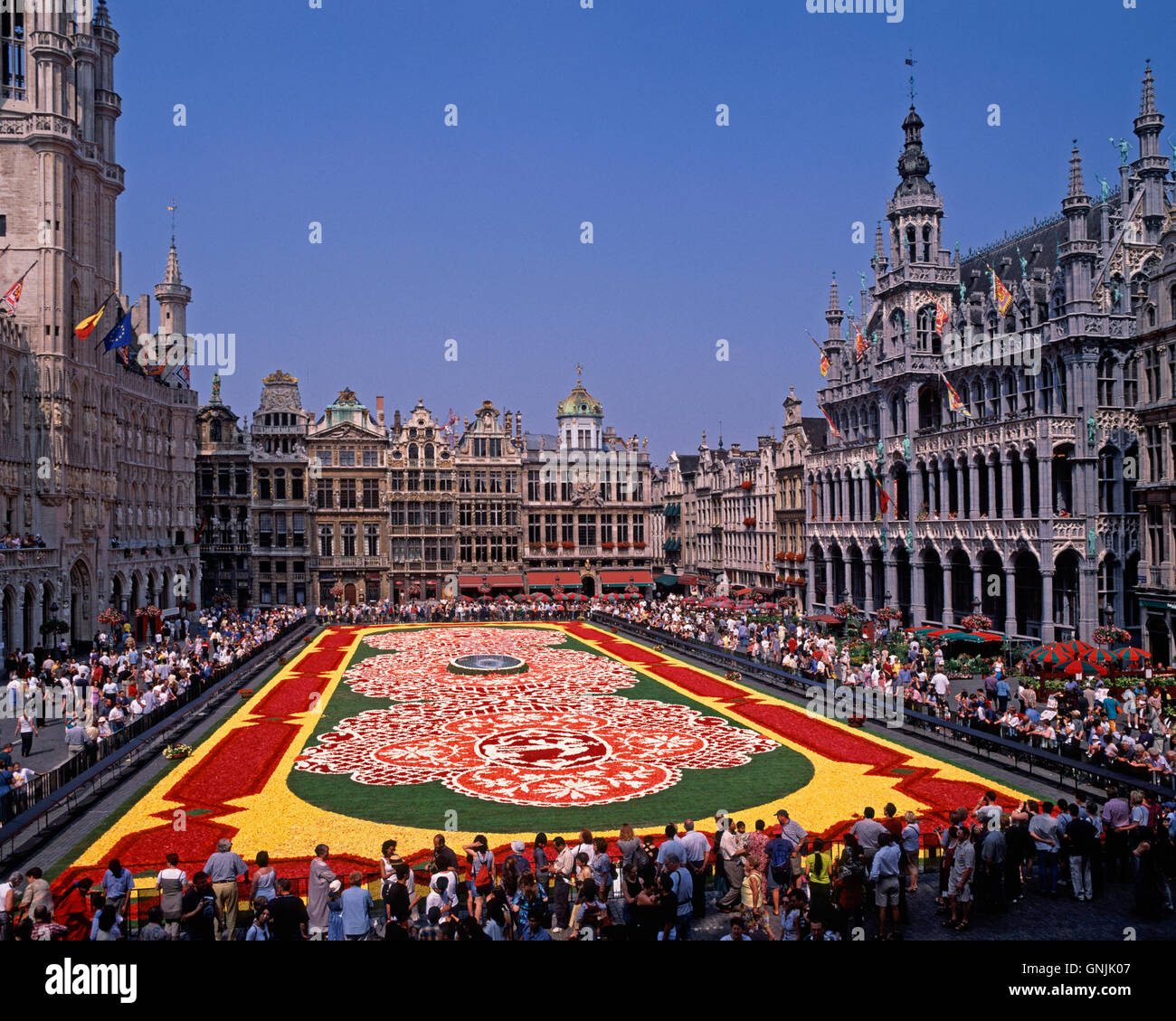 Blumenteppich in der Grand Place, Brüssel, Belgien Stockfoto