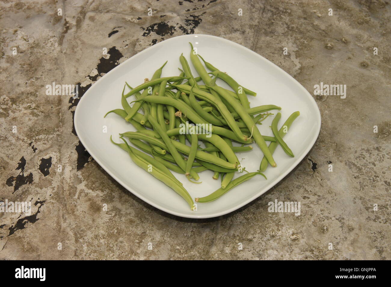 Nach Hause angebauten Nahrungsmitteln. Grün Französisch Bohnen auf Teller auf Metall Gartentisch. Ernte, Zuteilung produzieren. Beverley, England Stockfoto