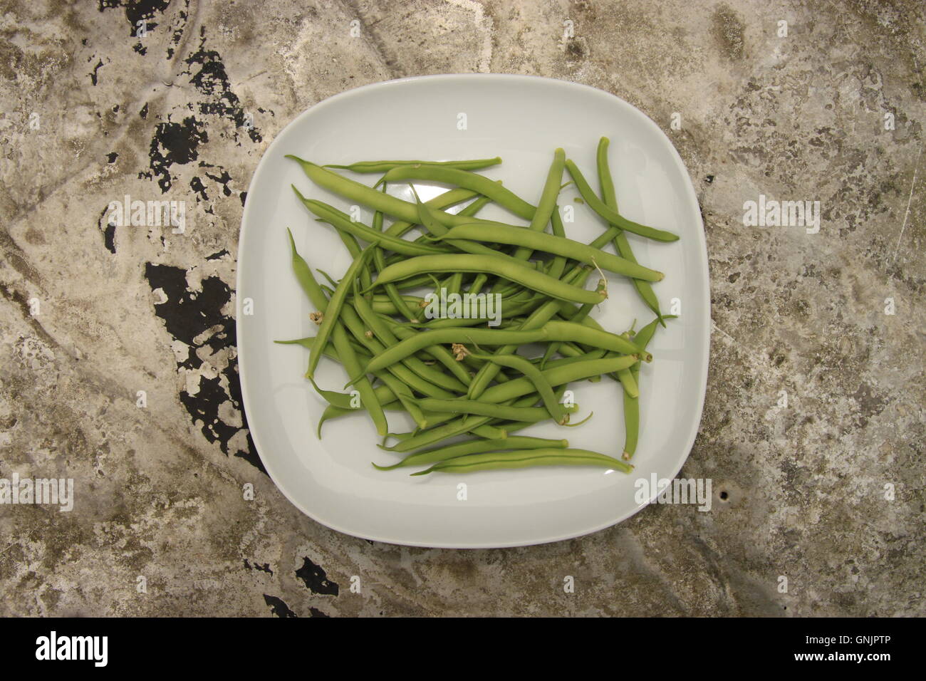 Nach Hause angebauten Nahrungsmitteln. Grün Französisch Bohnen auf Teller auf Metall Gartentisch. Ernte, Zuteilung produzieren. Stockfoto