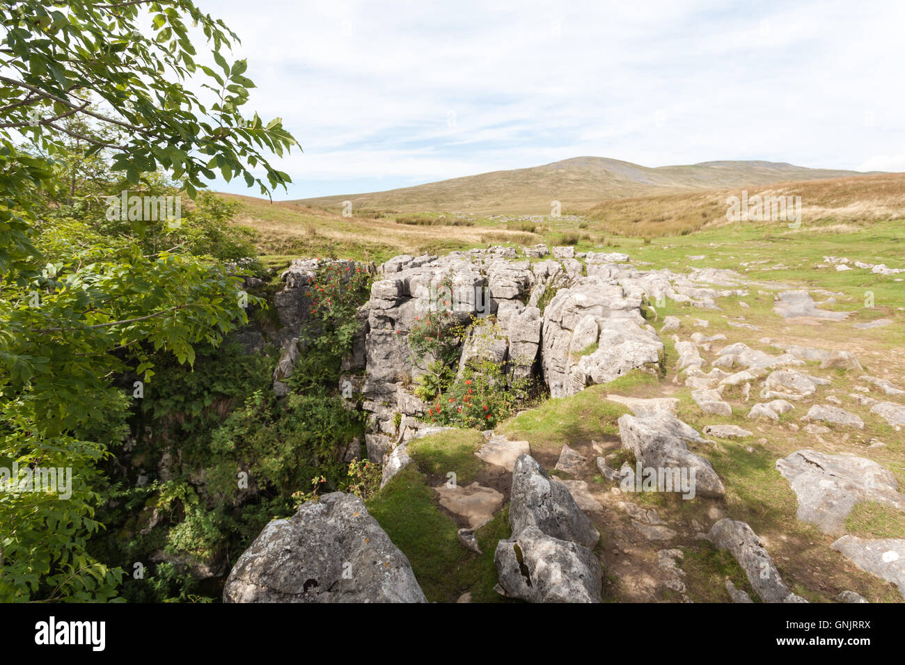 Nach oben zu Ingleborough, in der Nähe von Gaping Gill, Yorkshire Dales National Park, UK Stockfoto