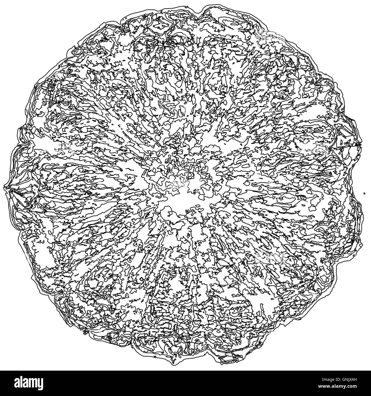 Zusammenfassung Hintergrund schwarz und weiß Stock Vektor