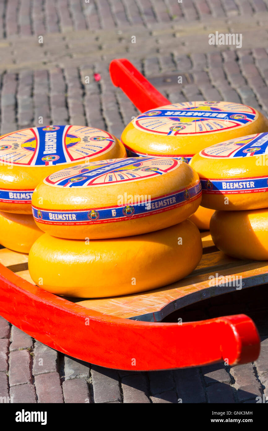 Anzeige der Räder des Beemster im Alter von Gourmet Gouda Käse am Käsemarkt von Alkmaar, Niederlande Stockfoto