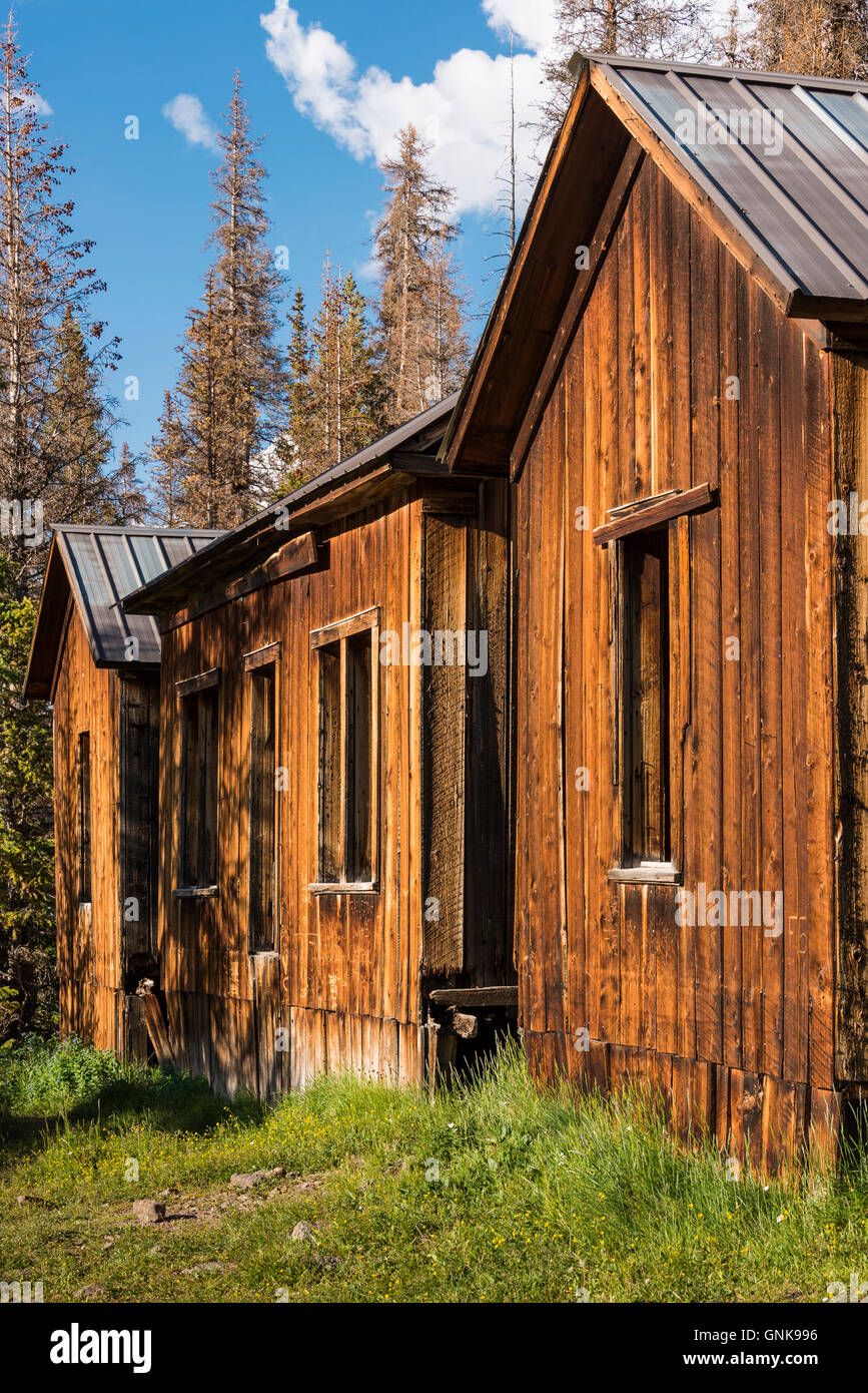 Carson Geisterstadt aus der Alpine Loop Scenic Byway in der Nähe von Lake City, Colorado. Stockfoto