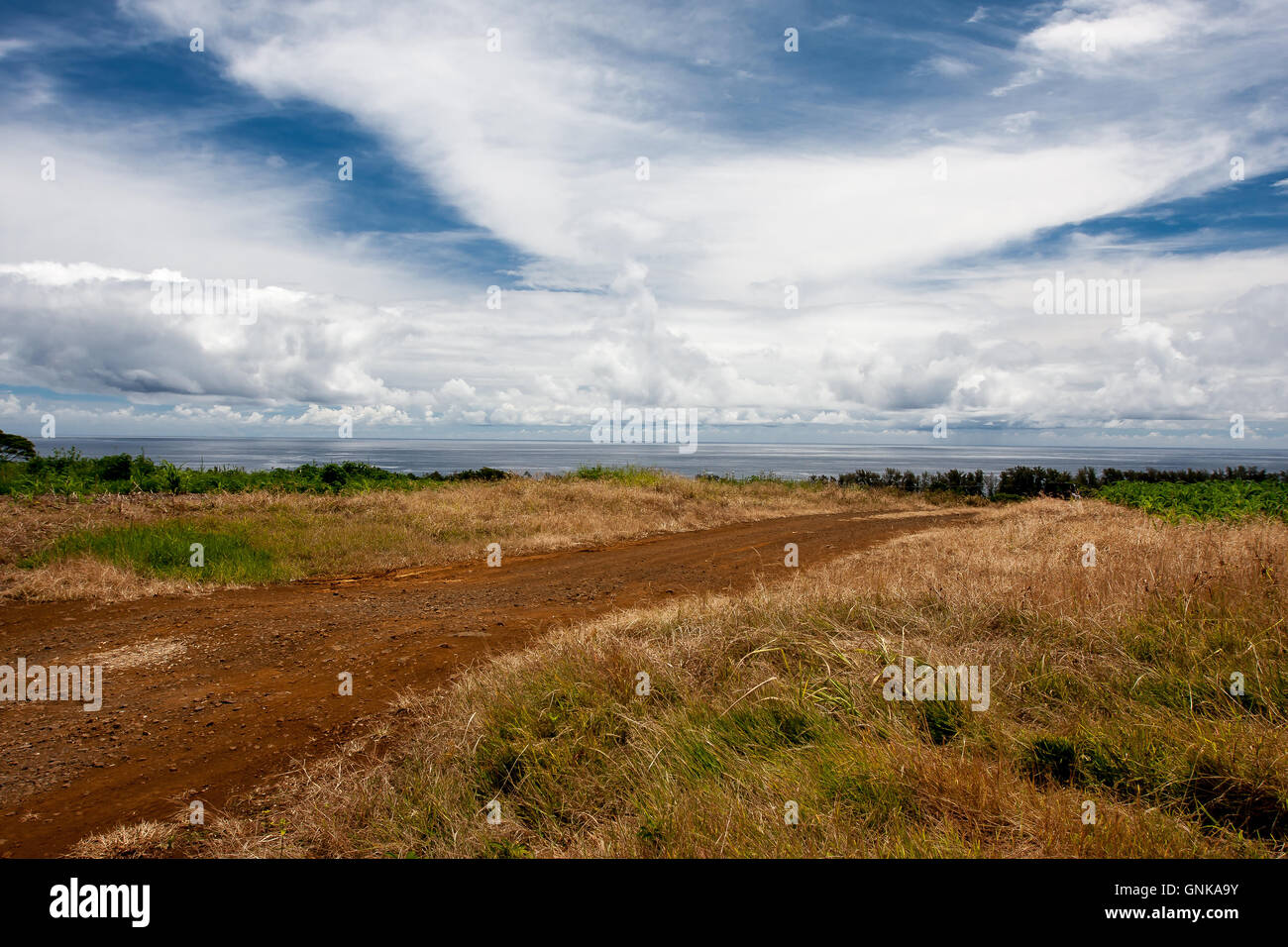 Landschaft mit einem Feldweg Stockfoto