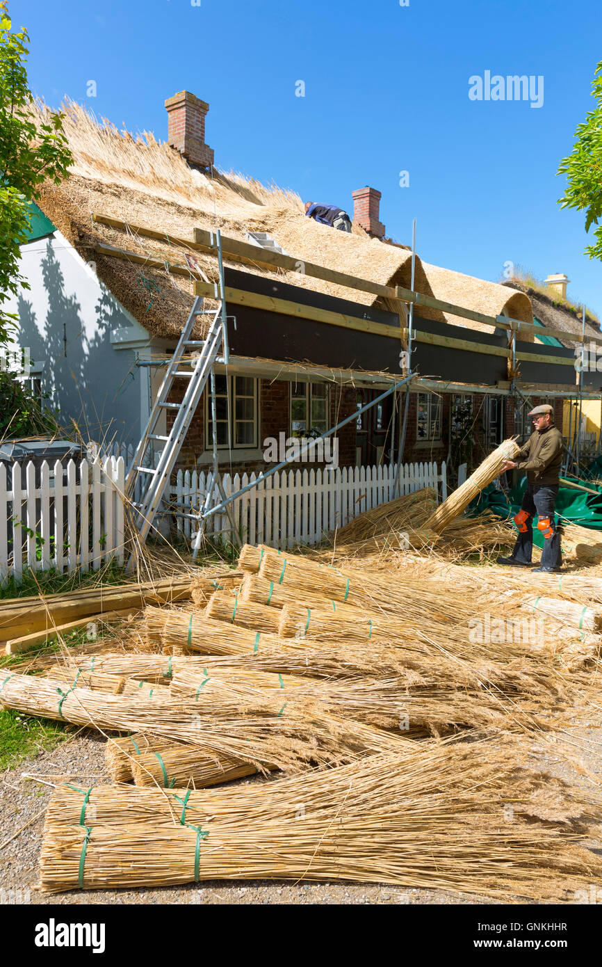Thatchers neu thatching Dach traditionellen Methode mit Stooks Schilf/Binsen auf Reetdachhaus in Fano Island, Dänemark Stockfoto