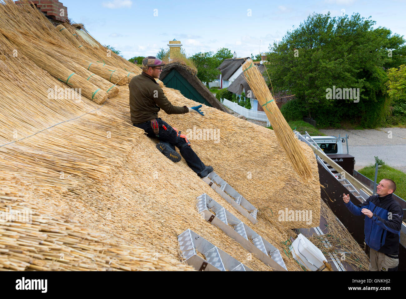 Thatchers neu thatching Dach traditionellen Methode mit Stooks Schilf/Binsen auf Reetdachhaus, Insel Fano, Dänemark Stockfoto
