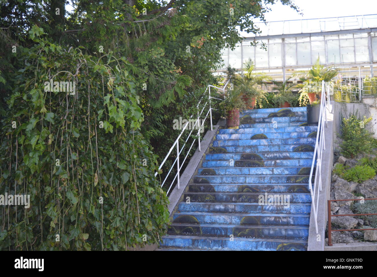 Lackierte Treppe Stockfoto