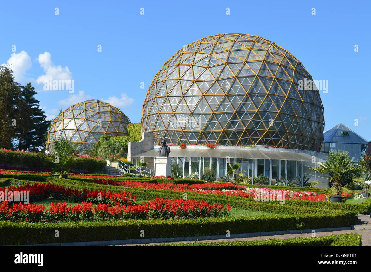 Blumenarrangements vor den Gewächshäusern des Botanischen Garten Stockfoto
