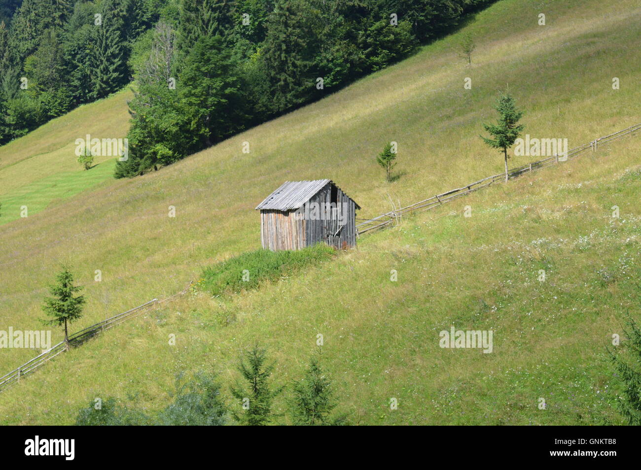 Hölzerne Aufbewahrungsbox auf einem grünen Hügel Stockfoto