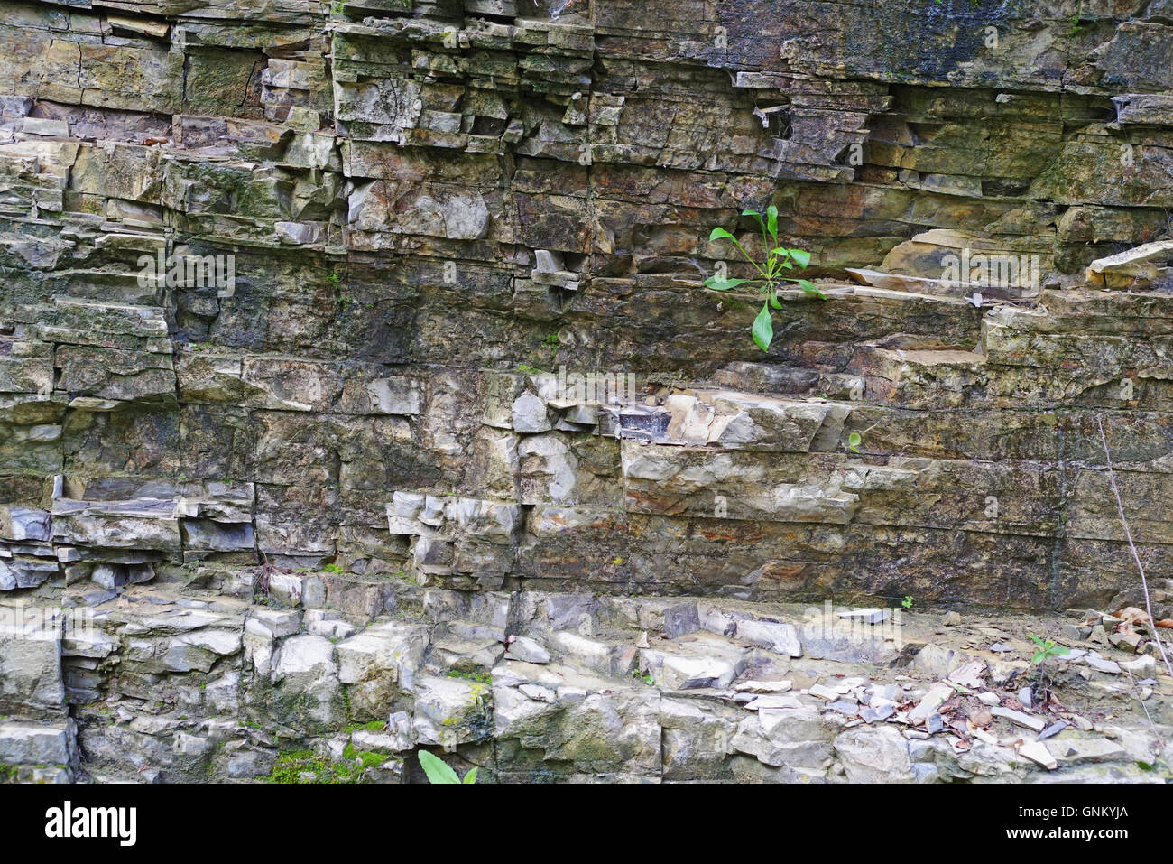 Berg Rock Details, gebrochene Oberflächenstruktur Stockfoto
