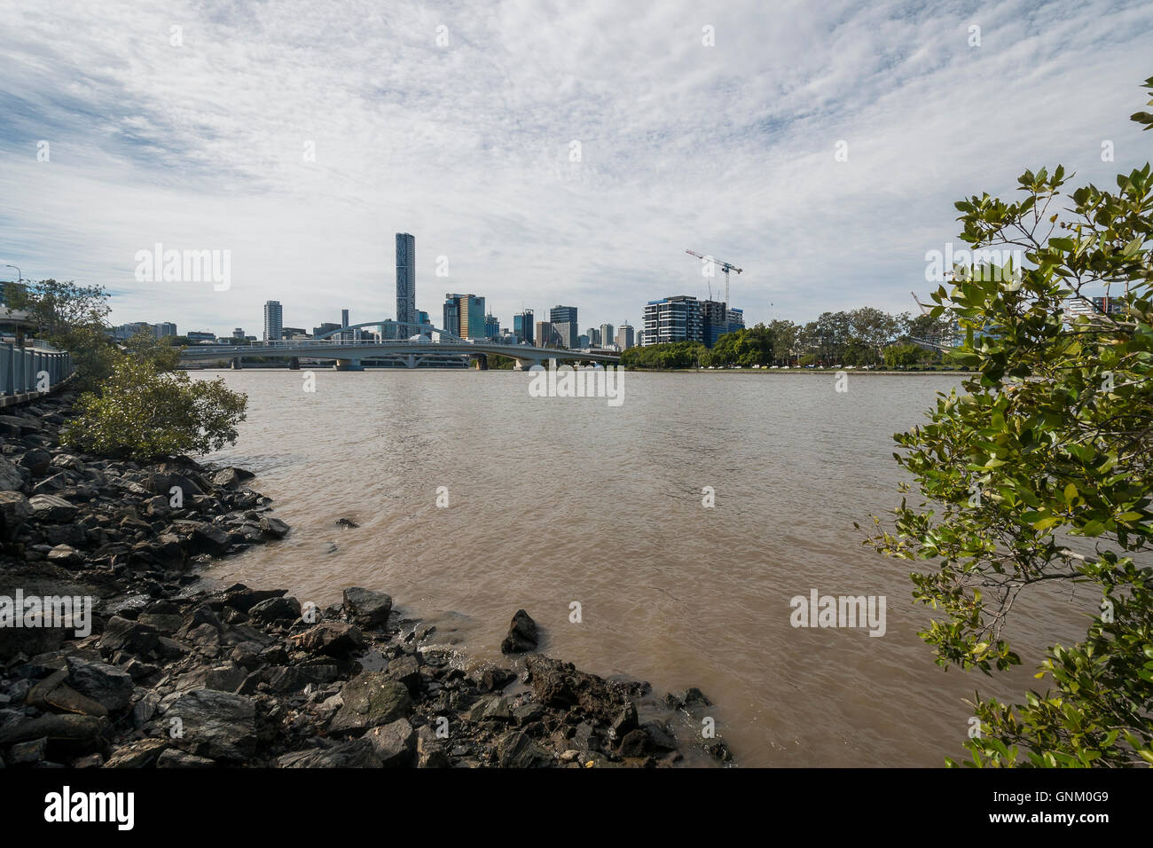 Victoria-Brücke und der Innenstadt von Brisbane Stockfoto