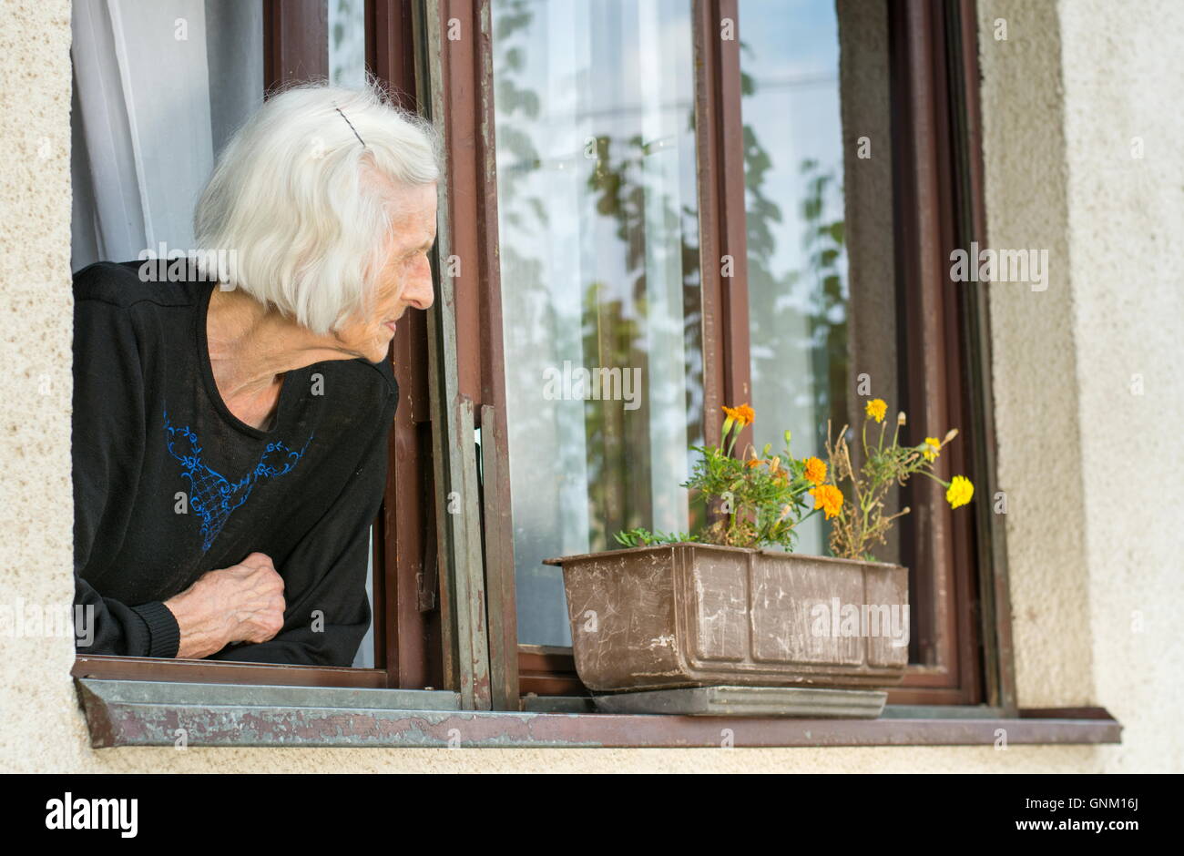 Ältere Frau allein auf ihr Haus Fenster Stockfoto