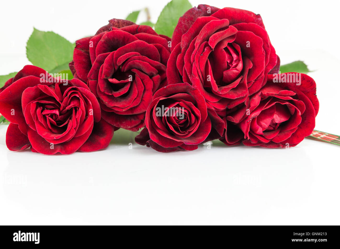 Rote Rosen mit einem Band am weißen Tisch Stockfoto