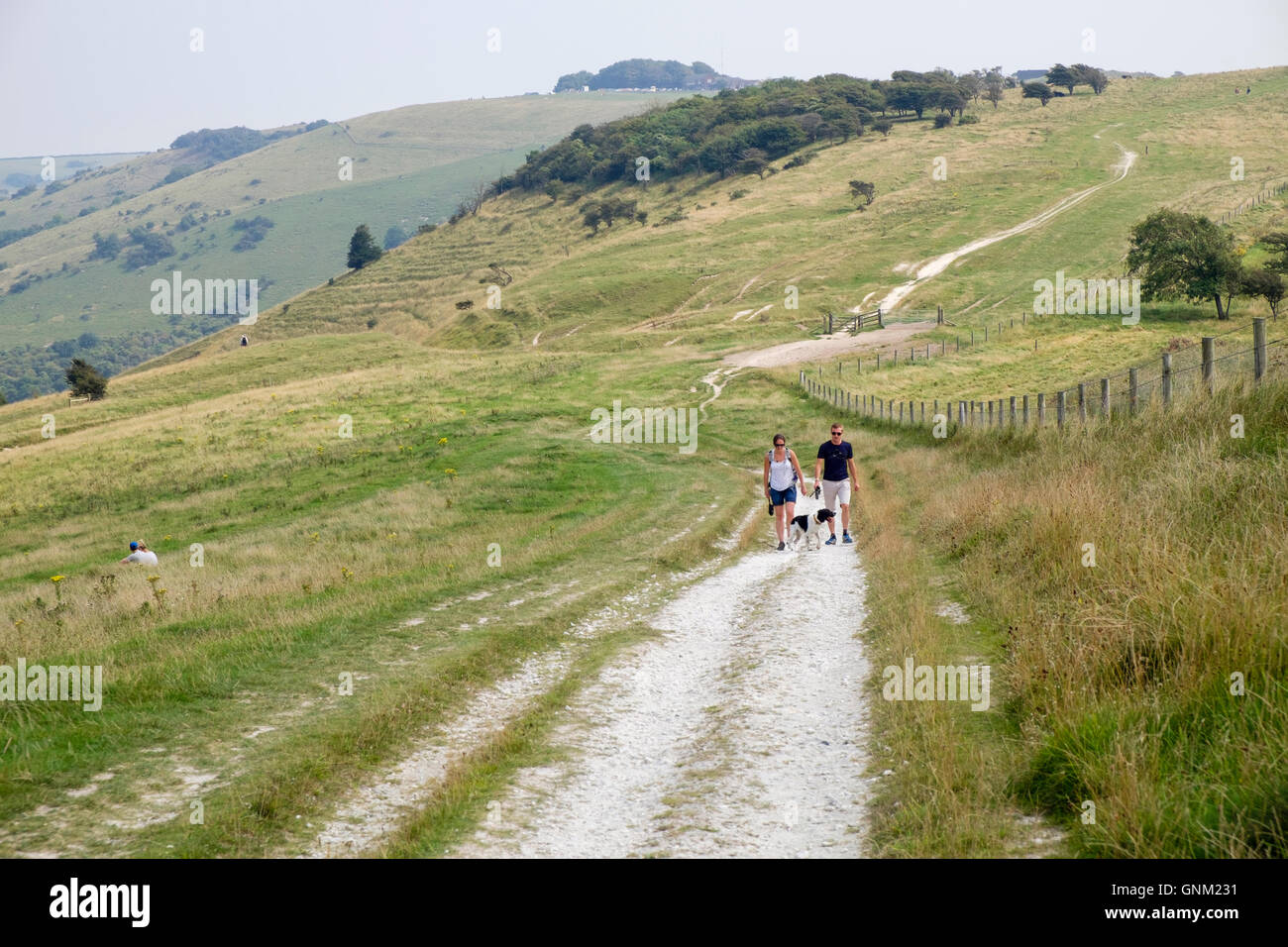 Zwei Menschen, die zu Fuß einen Hund auf South Downs Way trail Weg in South Downs National Park-Landschaft. Fulking Hill, Brighton, West Sussex, England, UK Stockfoto
