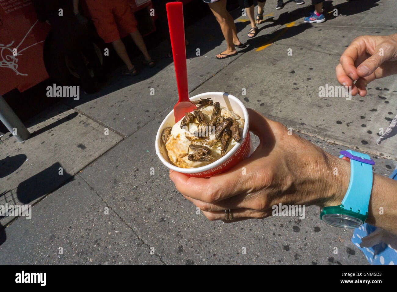 Eine Tasse Eis mit einem Topping aus Grillen wird auf eine Förderung für die in New York Zeitschrift The Economist auf Samstag, 27. August 2016 gesehen. Offenbar Insekten ist vorteilhaft für beide Sie und die Umwelt auf sie enthalten Eiweiß und nachhaltiger. (© Richard B. Levine) Stockfoto