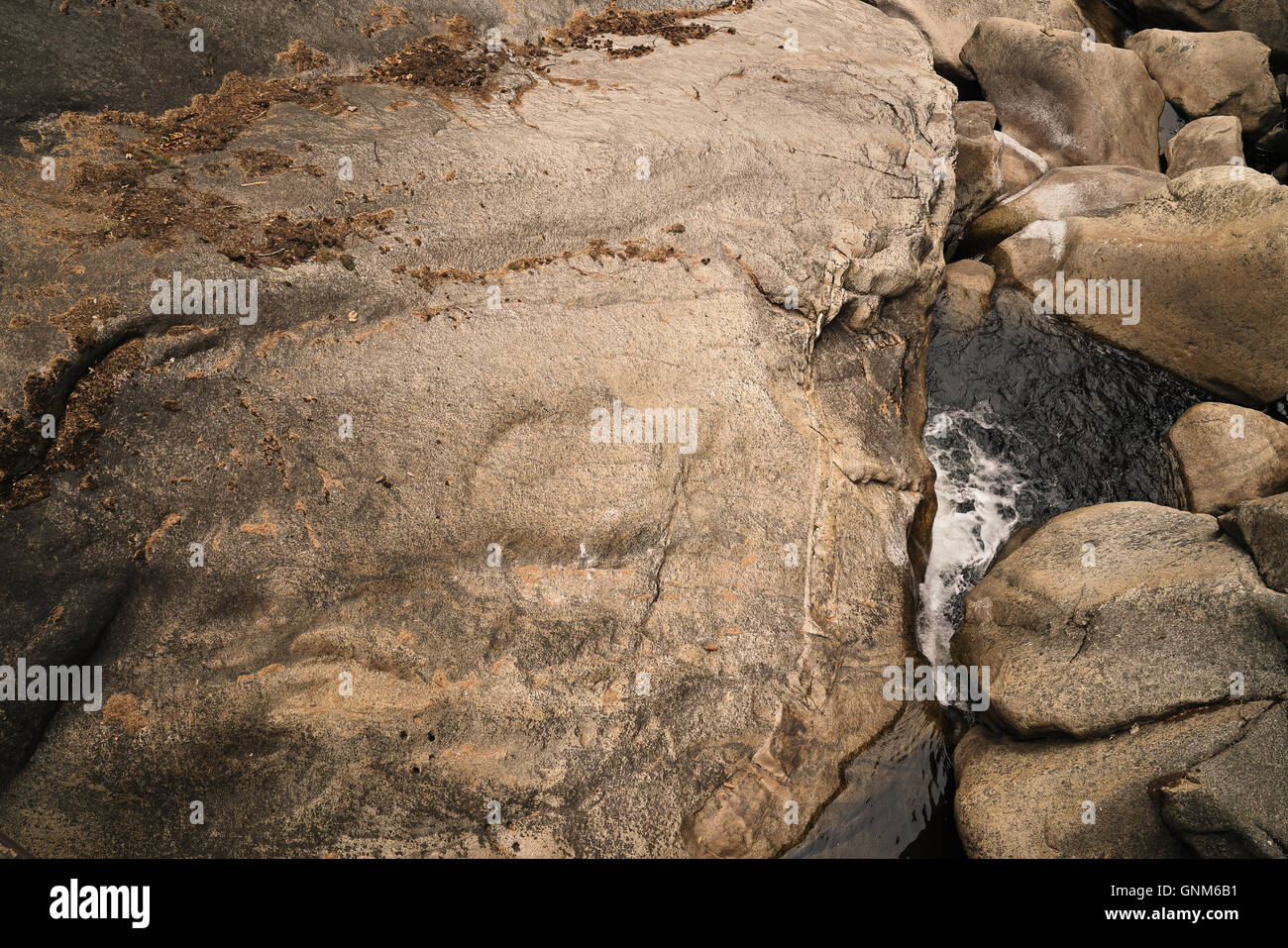Ein Fluss, der durch den Yosemite National Park Stockfoto
