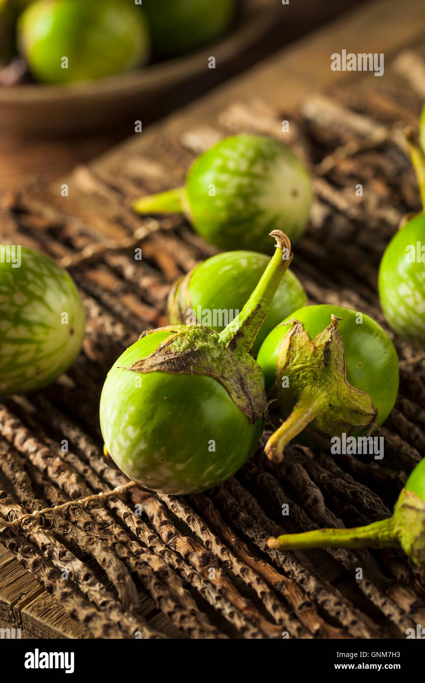 Rohe grüne Thai Auberginen fertig zum Kochen Stockfoto