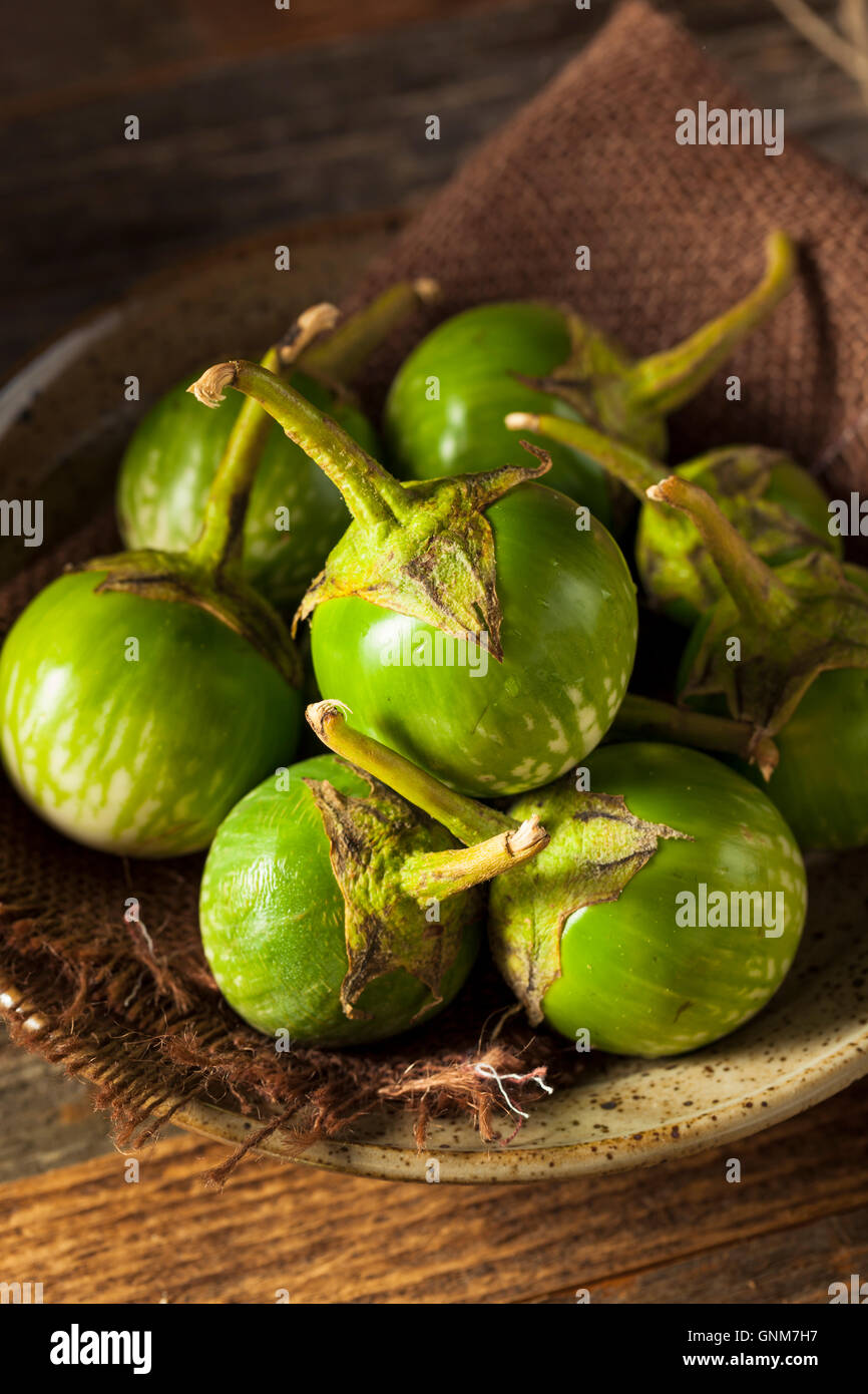 Rohe grüne Thai Auberginen fertig zum Kochen Stockfoto