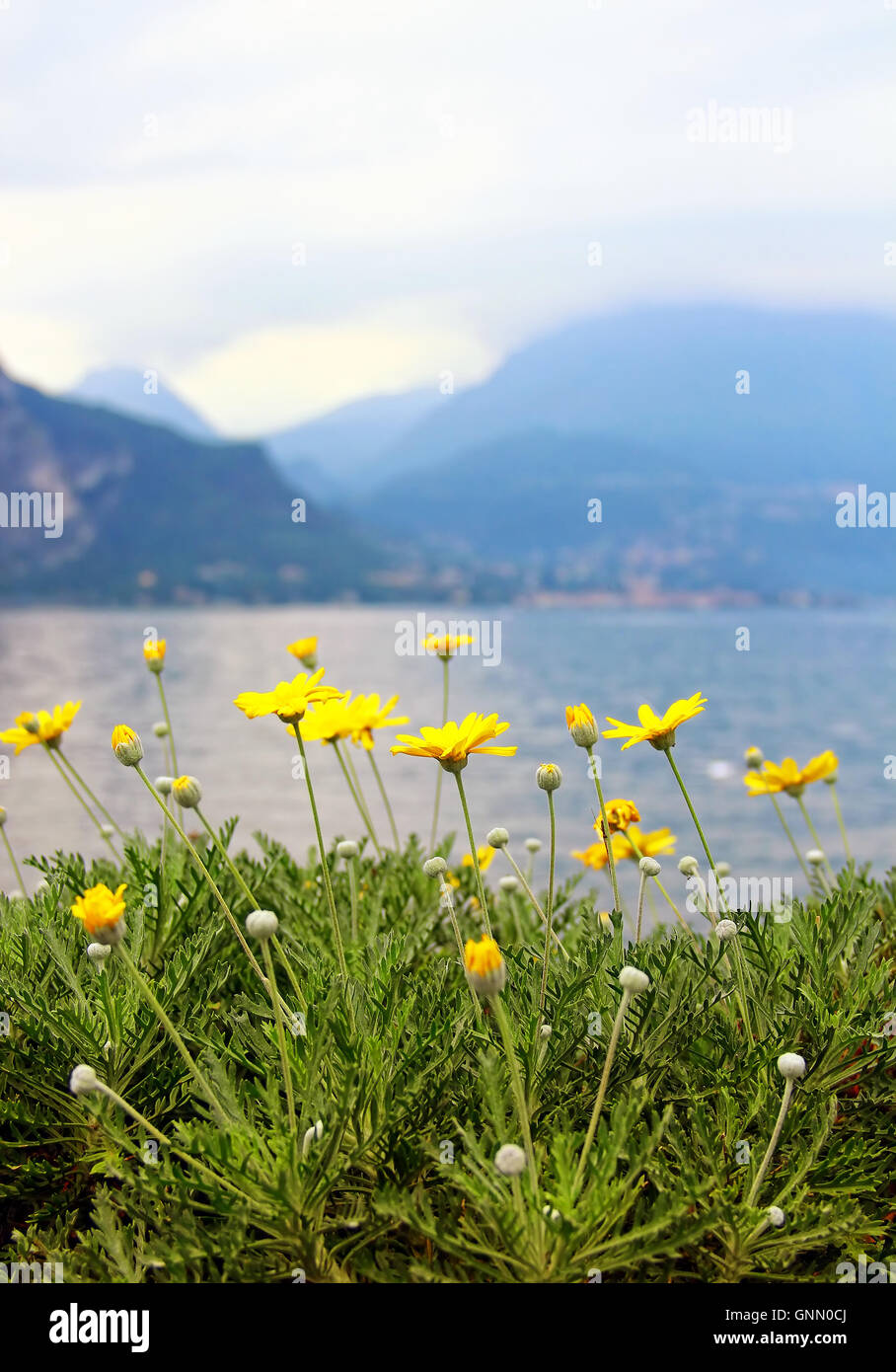 Comer See, Italien Stockfoto