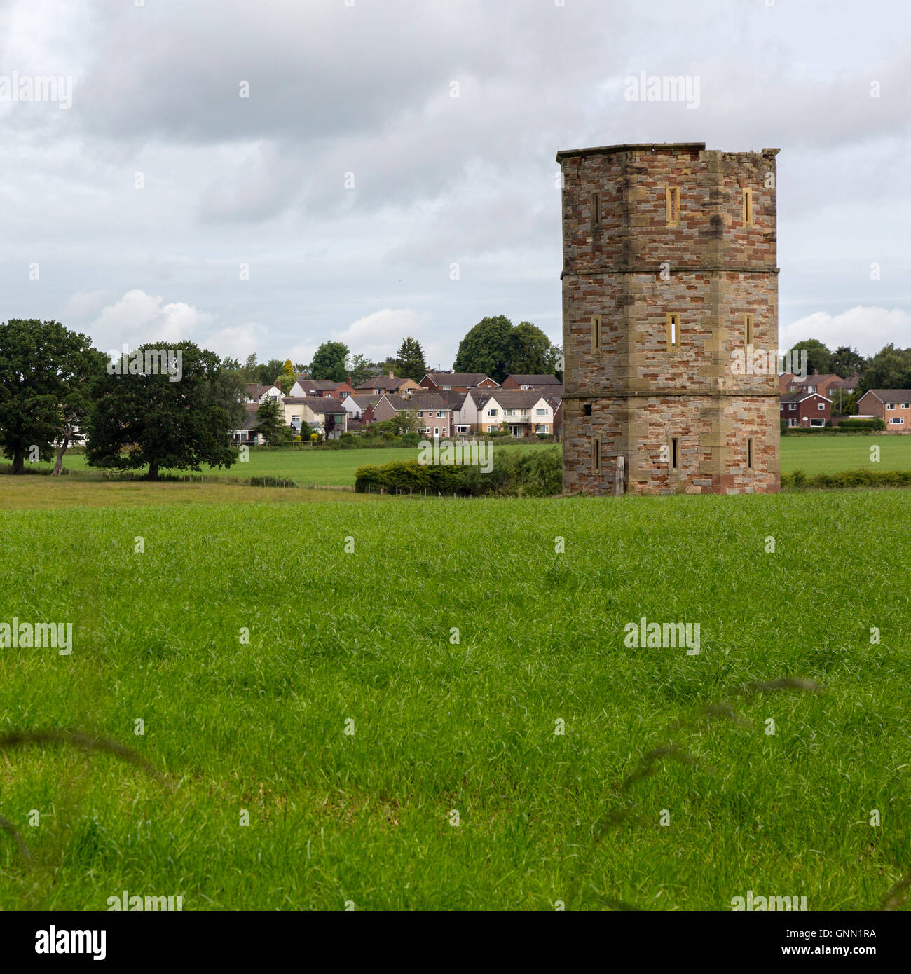 19.. Jahrhundert Torheit (achteckiger Turm), von George Kopf.  Rickerby, in der Nähe von Carlisle, England, UK. Stockfoto