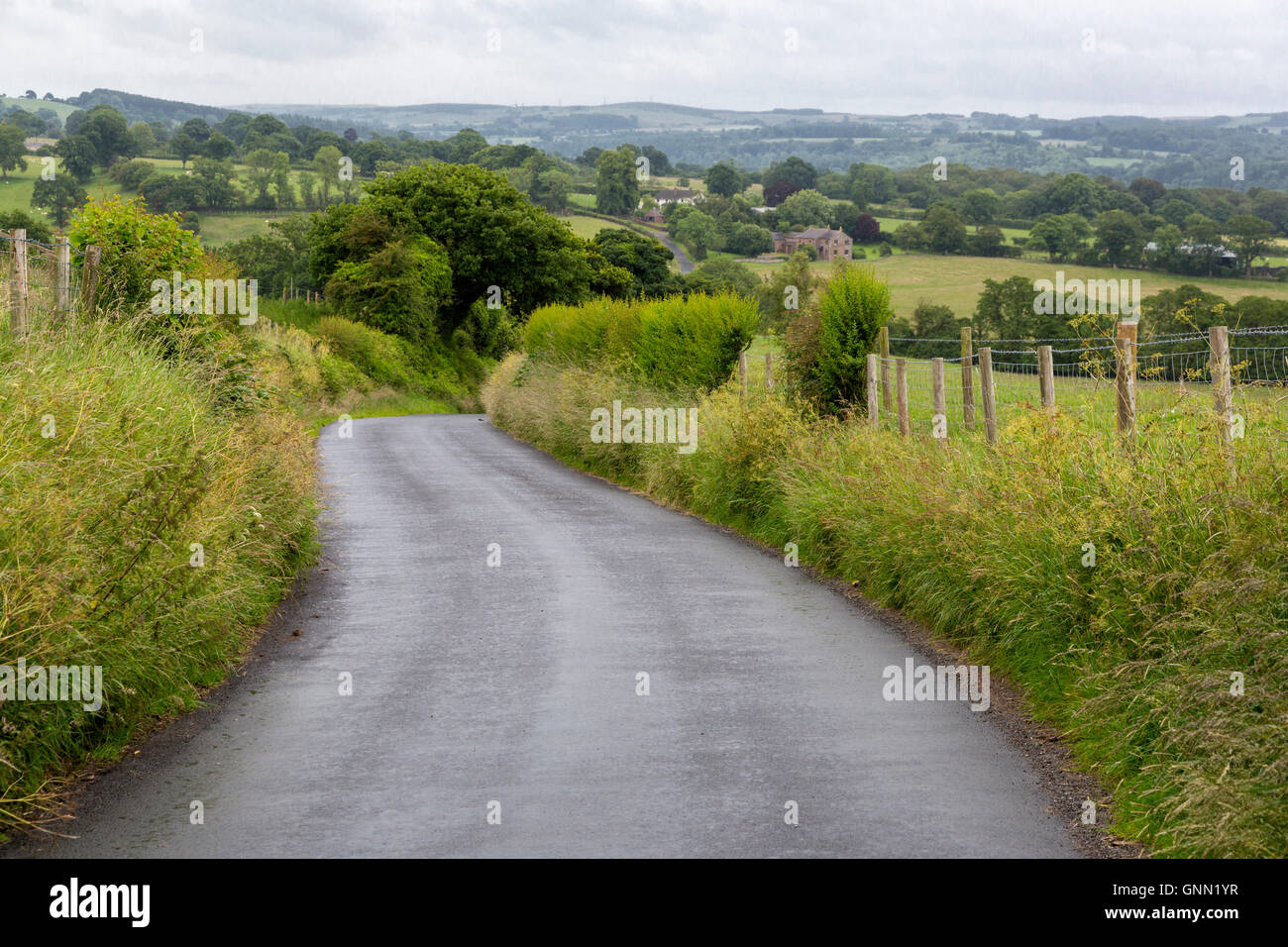 Der Hadrianswall Wanderweg folgt kurz Asphalt Straße unter Walton, Cumbria, England, UK. Stockfoto