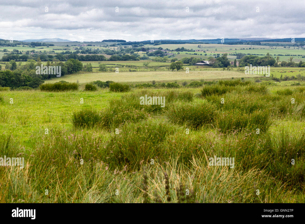 Cumbria, England, UK.  Blick auf die Landschaft entlang der Hadrianswall Fußweg. Stockfoto
