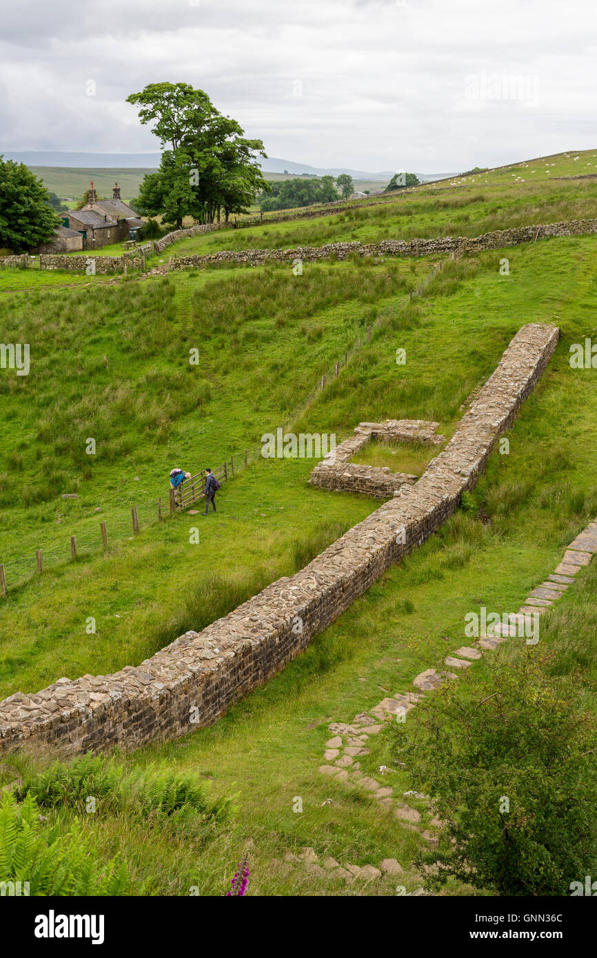 Northumberland, England, Vereinigtes Königreich.  Lücke Wehrturms Turm am Hadrianswall (Pennine Way) Wanderweg. Stockfoto