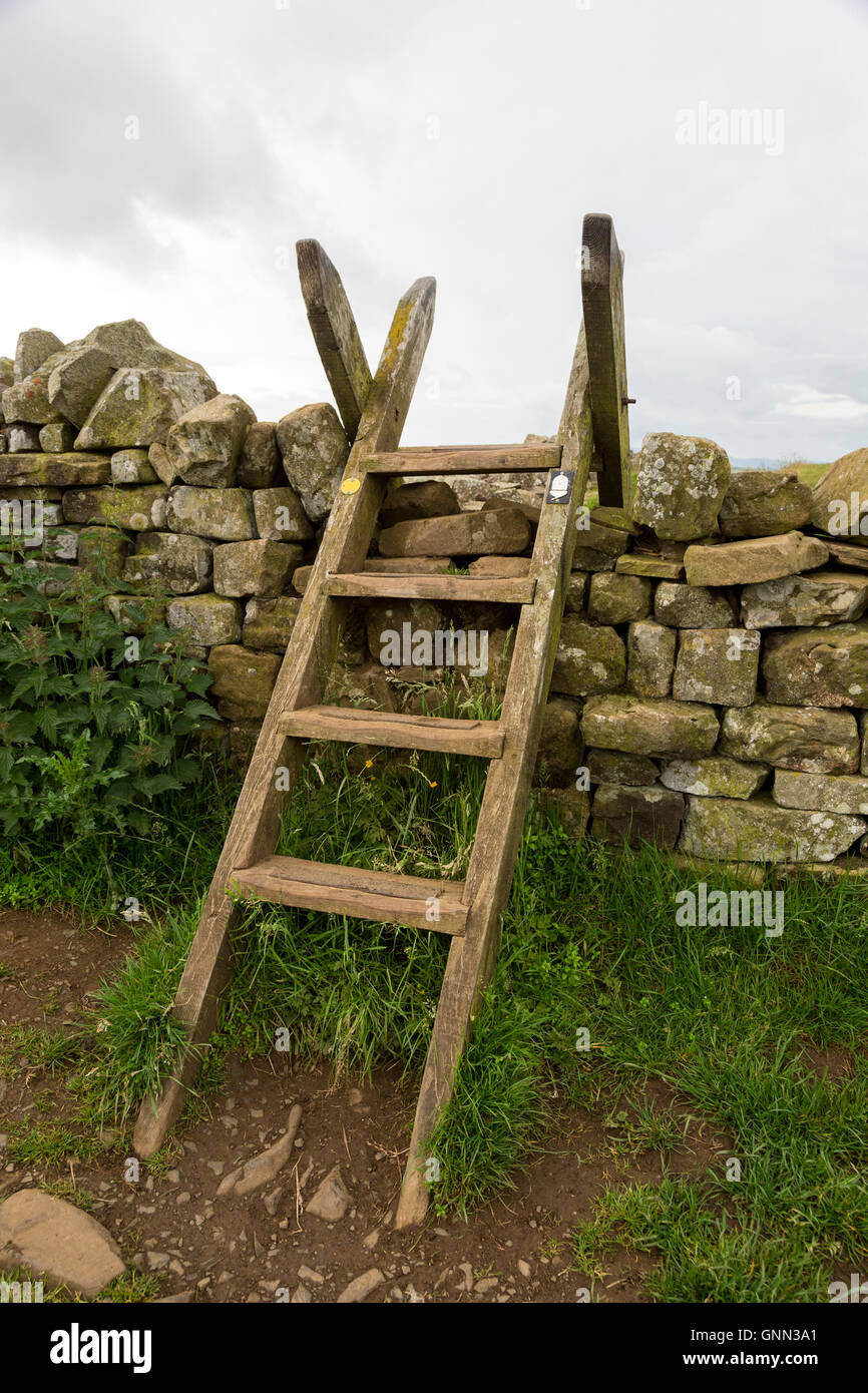 Northumberland, England, Vereinigtes Königreich.  Eine Ladder-Stil über ein Landwirt Steinmauer am Hadrianswall (Pennine Way) Wanderweg. Stockfoto