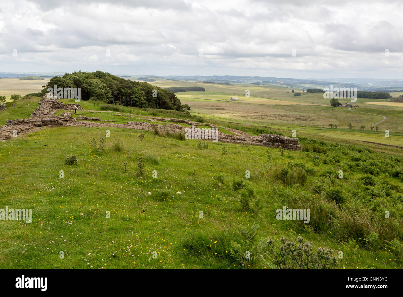 Northumberland, England, Vereinigtes Königreich.  Milecastle 35, Hadrianswall, Sewingshields Holz hinter. Stockfoto