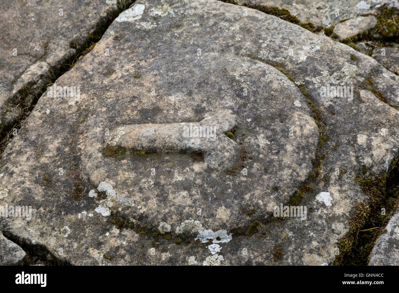 Northumberland, England, Vereinigtes Königreich.  Chesters (Cilurnum) Roman Fort, Phallus-Symbol. Stockfoto