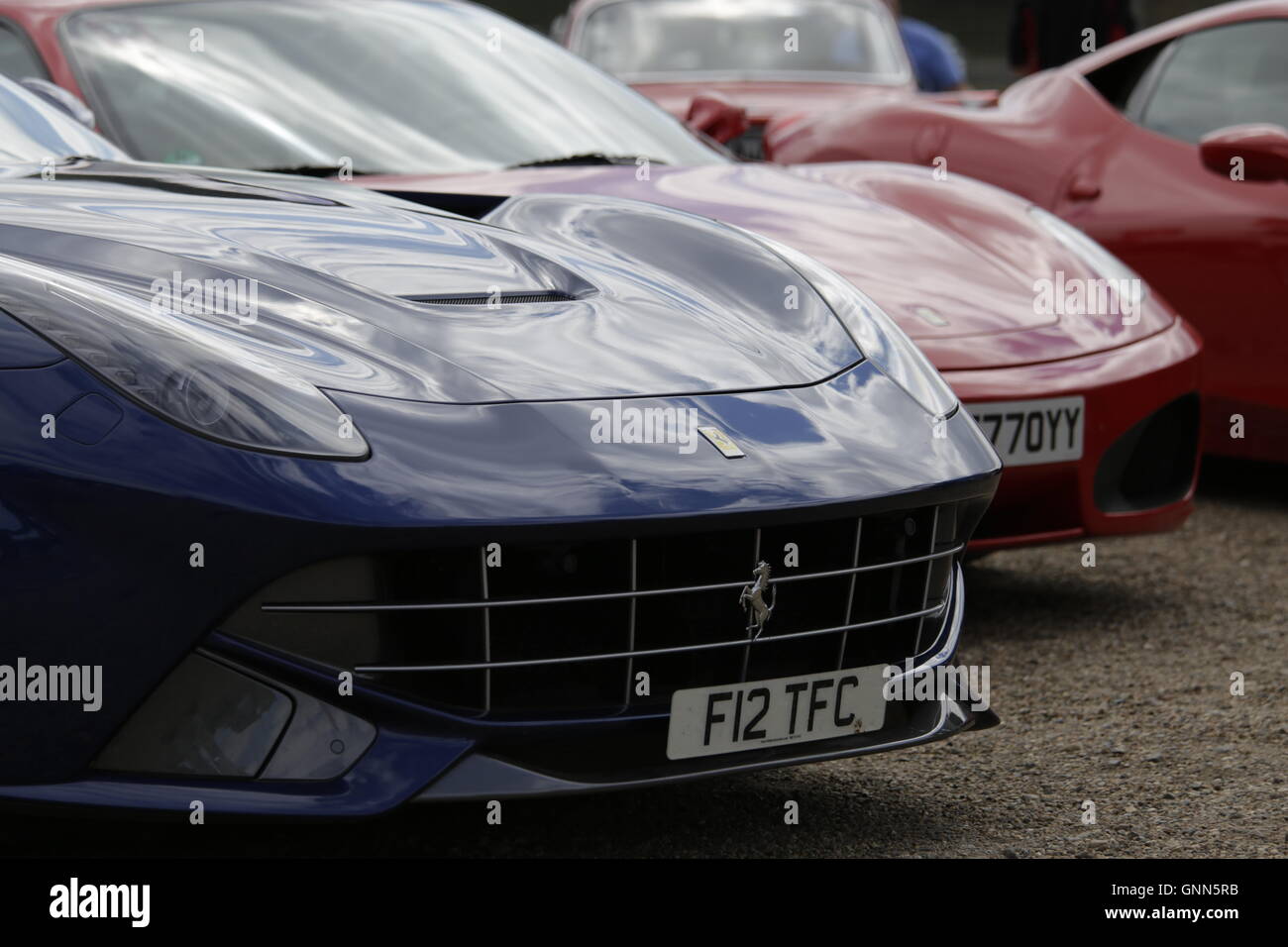 Ferrari Autos in Brands Hatch, Großbritannien Stockfoto