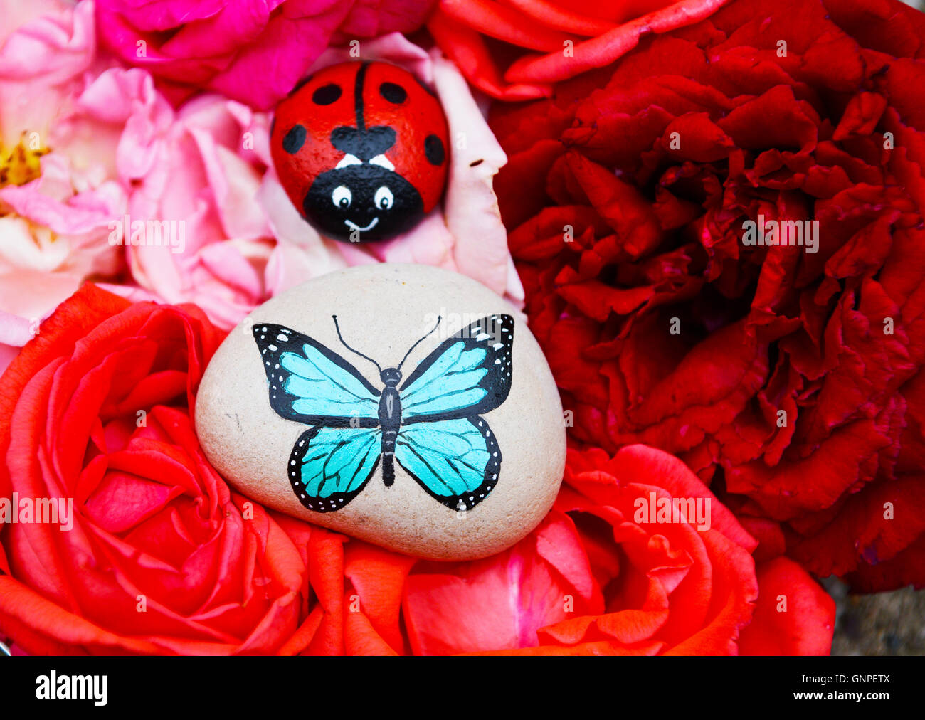 Schöner Blumenstrauß echte Rosen in vier Farben mit einen gemalten Amazonas blauen Schmetterling und einem niedlichen Marienkäfer auf zwei Strand Kieselsteine. Stockfoto