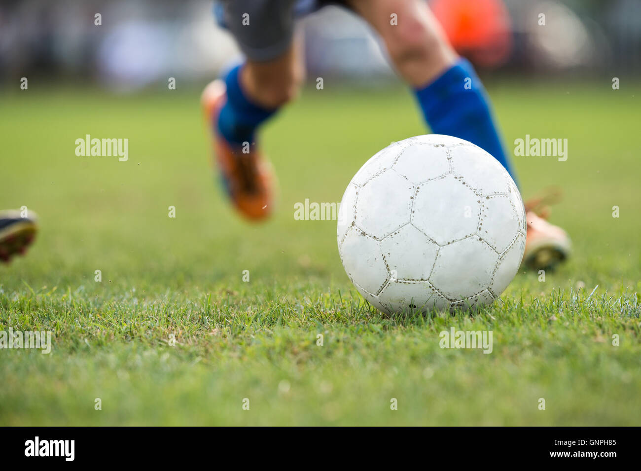 Fuß, treten Fußball auf der grünen Wiese Stockfoto