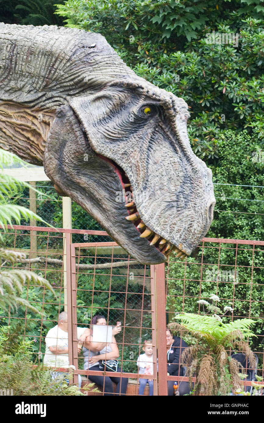 Captive-T-Rex Dinosaurier mustert seine nächste Mahlzeit hinter Weidezaun Stockfoto