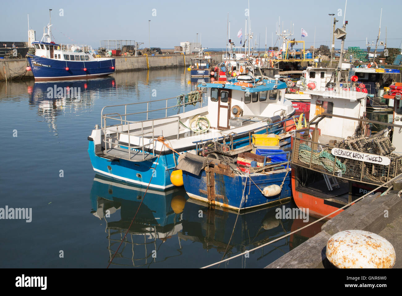 Angeln und Farne Islands Reise Ausflugsboote in gemeinsame Hafen Northumberland-England-Großbritannien Stockfoto
