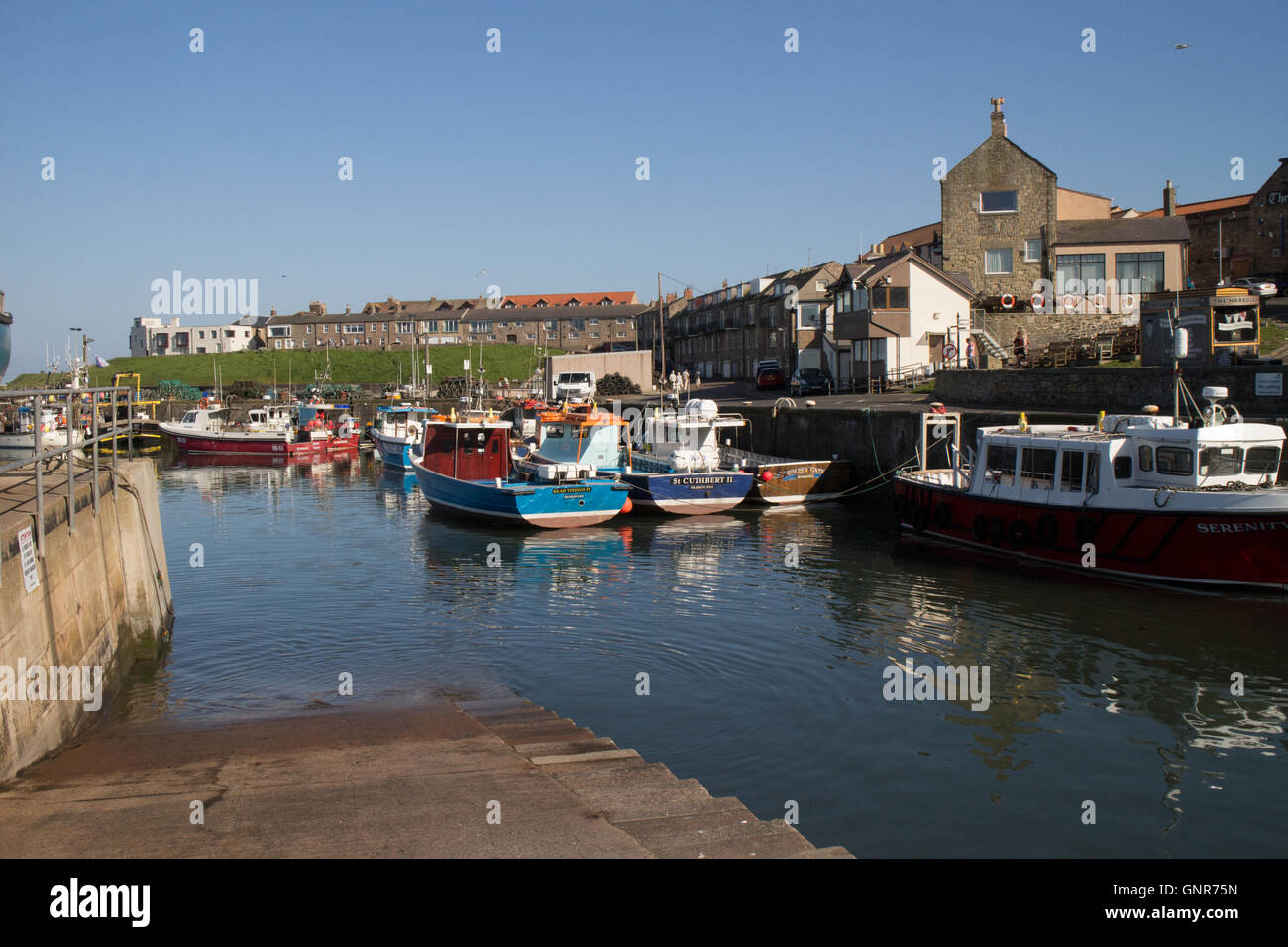 Northumberland England Großbritannien Hafen Farne Islands Reise Ausflugsboote und Angelboote/Fischerboote in Seahoses Stockfoto