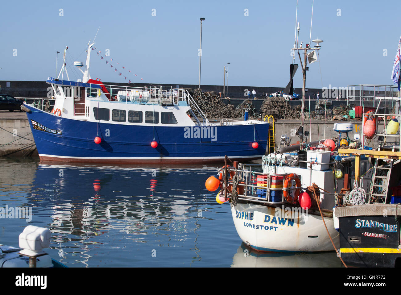 Hafen Farne Islands Reise Touristenboot und Fischerboot in gemeinsame Northumberland-England-Großbritannien Stockfoto