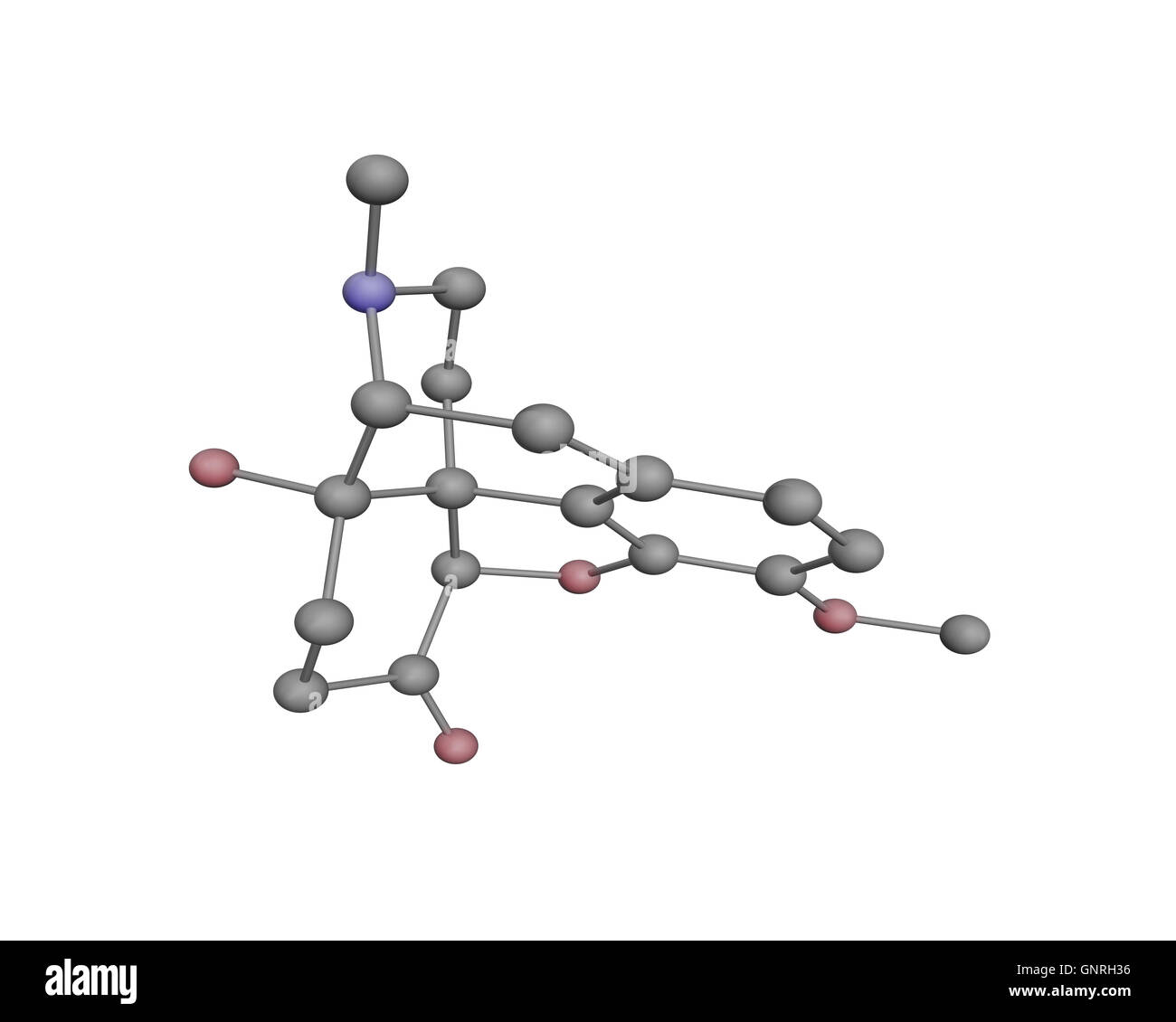 3D Illustration von Oxycodon Molekül-ein opioid-Analgetikum für mäßige bis starke Schmerzen. Stockfoto