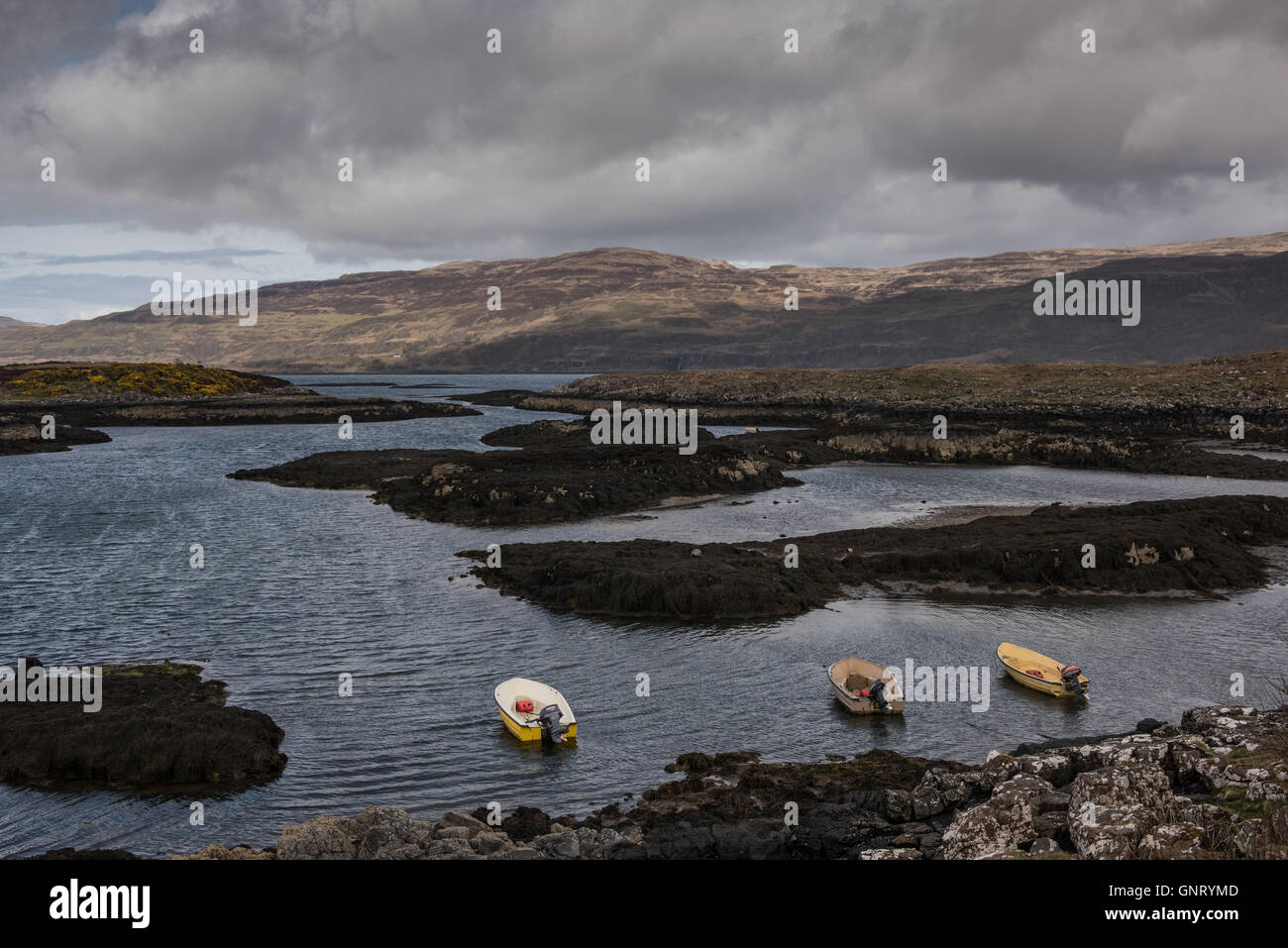 Tobermory, Vereinigtes Königreich, Landschaft an der Küste der Isle of Mull in Schottland Stockfoto