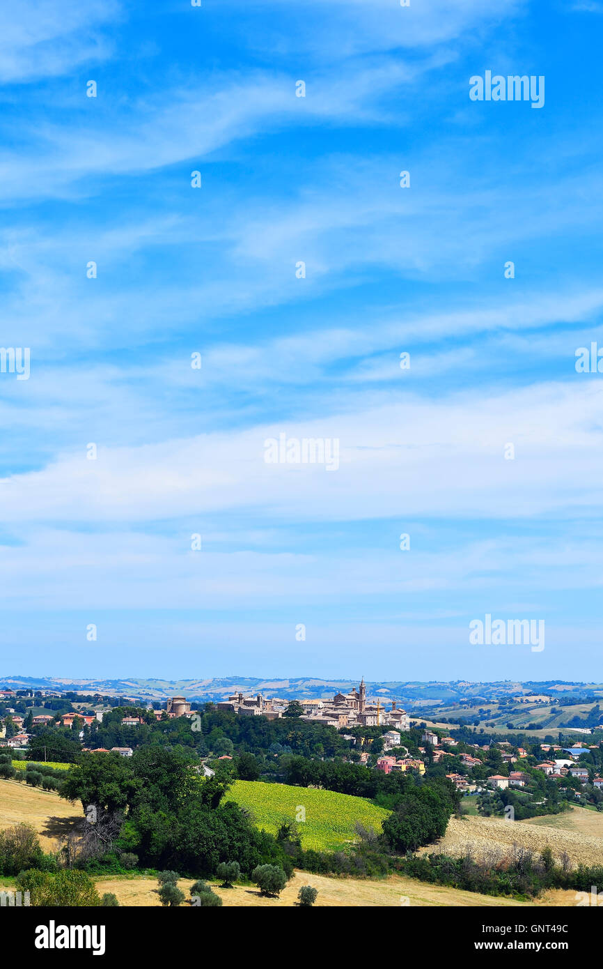 Ansicht, Übersicht, Panorama, im Hintergrund Corinaldo, Provinz Ancona, Marken, Italien, Europa Stockfoto